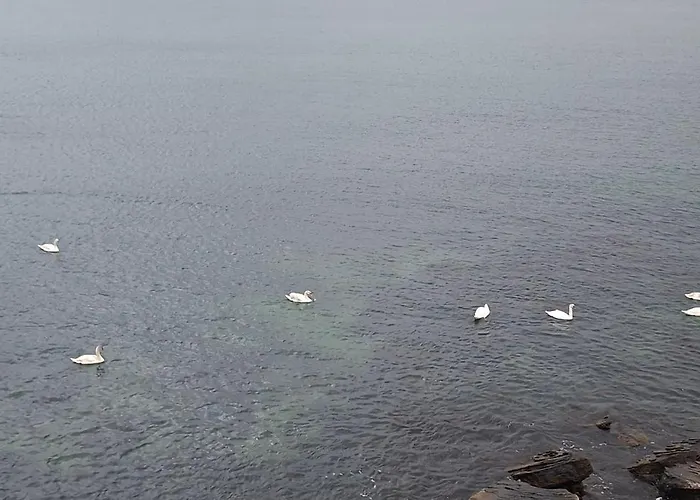 The White 7 Nessebar
